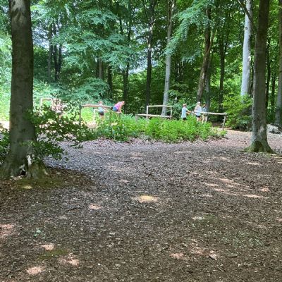 Children on wooden obstacles